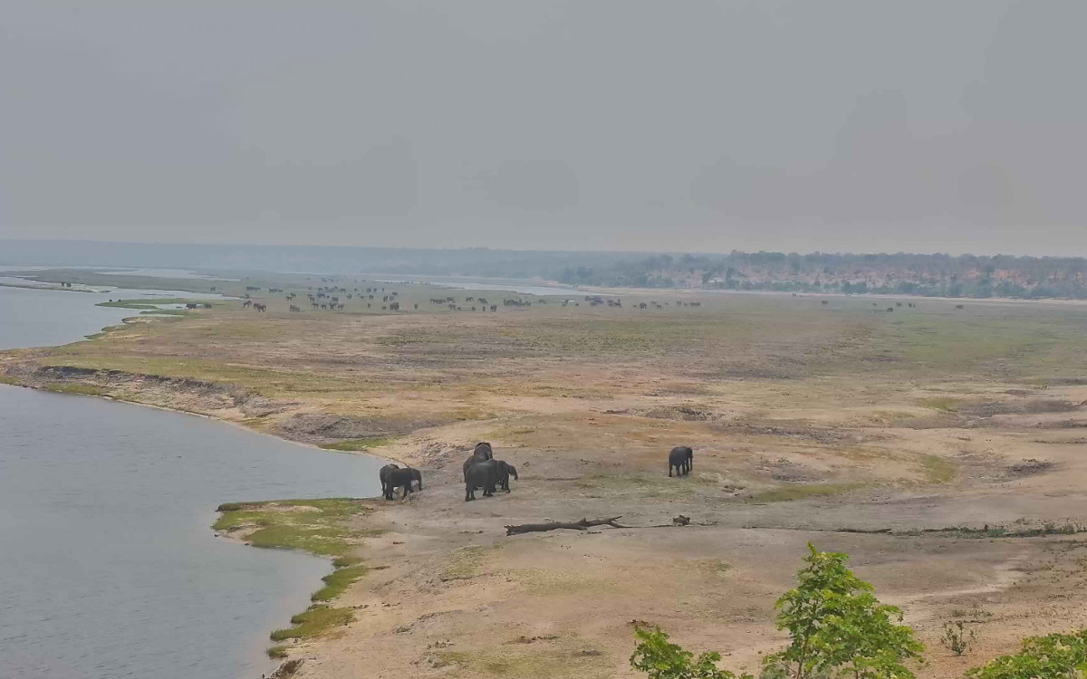Chobe Savanna Lodge, Namibia