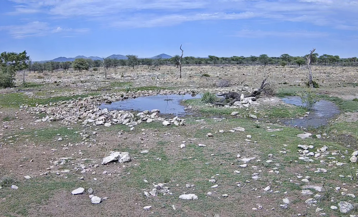 Kambaku Wildlife Reserve, Namibia
