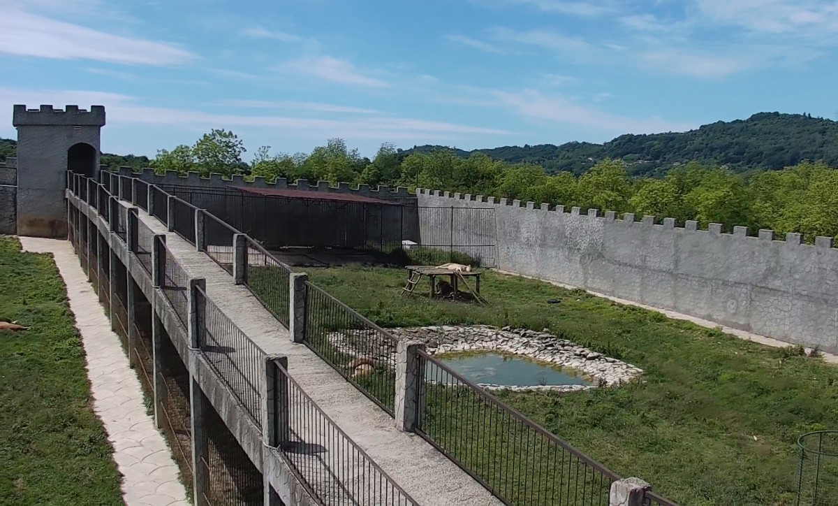 Pride Lion Park, Abkhazia