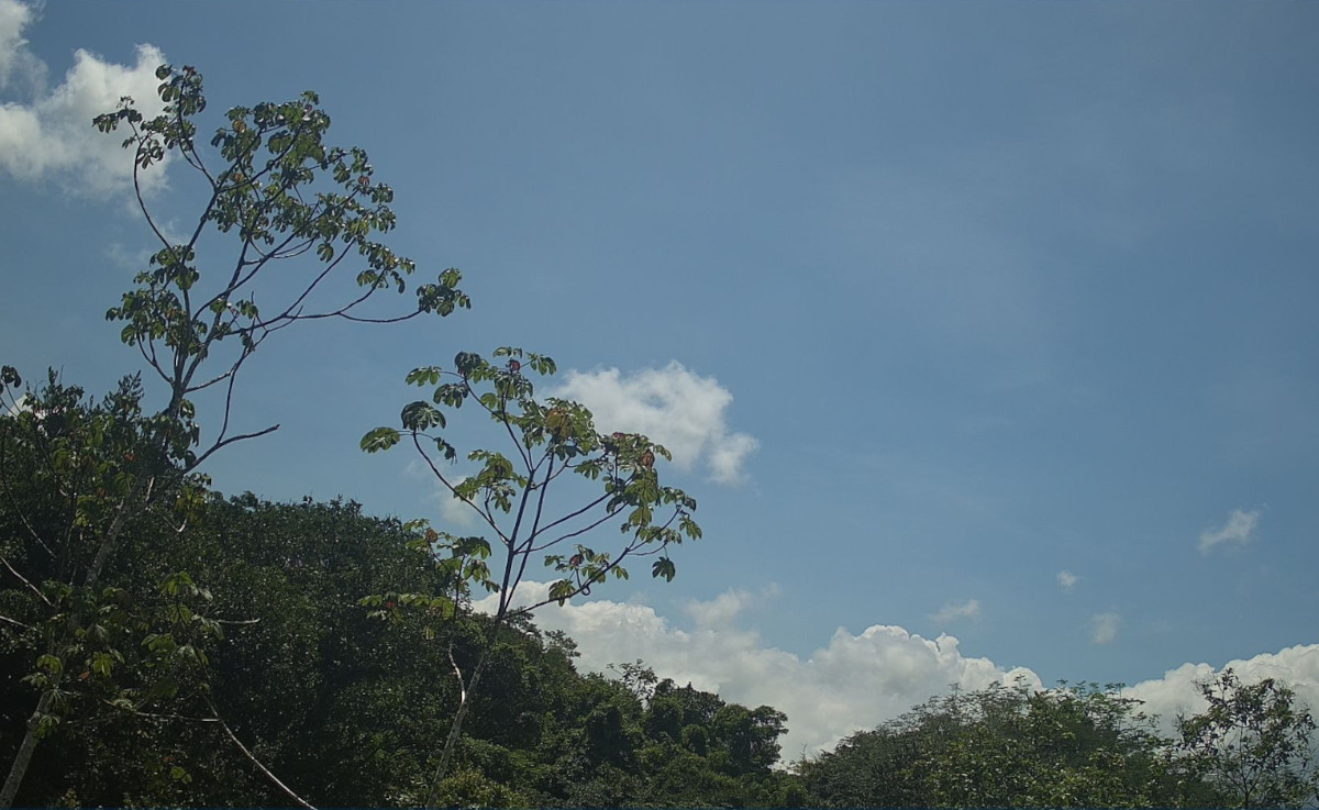 Karen Mogensen Reserve, Costa Rica