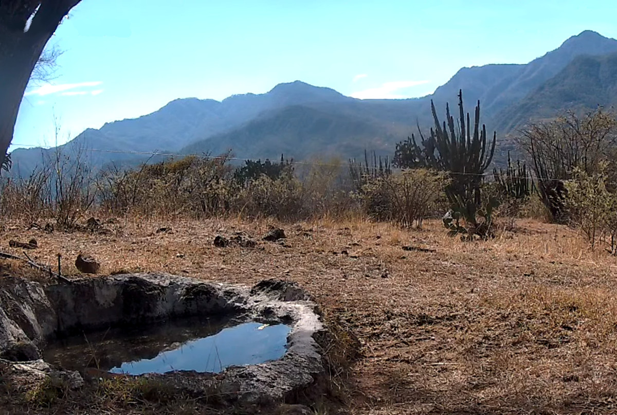 Rancho La Onza Nature Reserve – Mexico