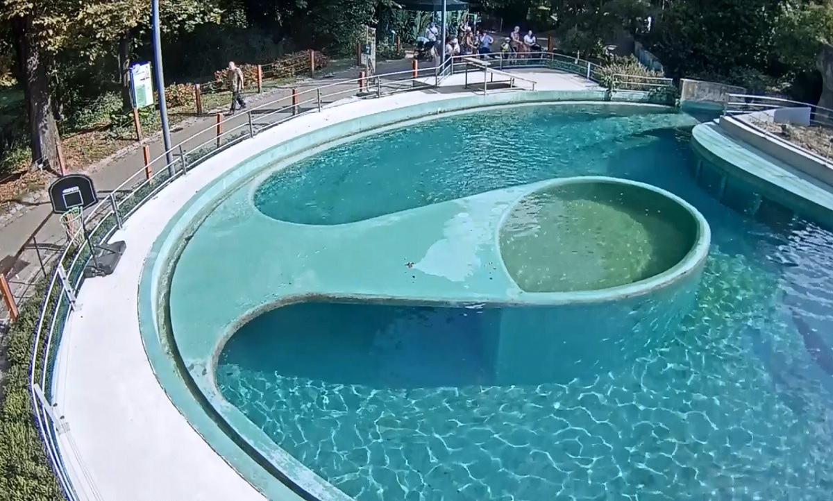 Budapest Zoo, Seal Pool